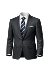 Professional Suit Edit